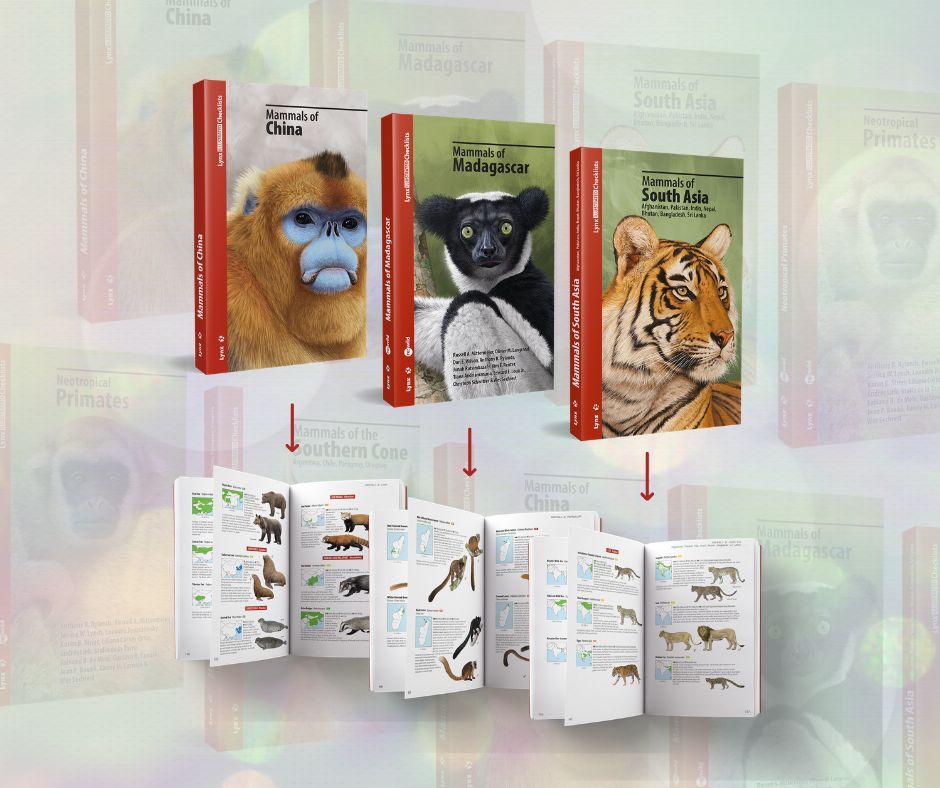 lynxnaturebooks's tweet image. For the next 5 days only, get 15% off a curated selection of our Illustrated Checklists of Mammals.

⏳ Sale ends on Tuesday, 17th of March.

👉 Visit lynxnaturebooks.com to explore the collection and save.

#FlashSale #Mammals #WildlifeBooks #Biodiversity #FieldGuides #Lynx