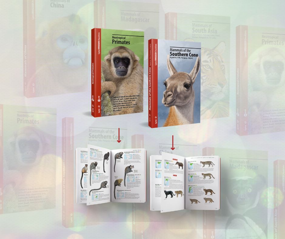 lynxnaturebooks's tweet image. For the next 5 days only, get 15% off a curated selection of our Illustrated Checklists of Mammals.

⏳ Sale ends on Tuesday, 17th of March.

👉 Visit lynxnaturebooks.com to explore the collection and save.

#FlashSale #Mammals #WildlifeBooks #Biodiversity #FieldGuides #Lynx