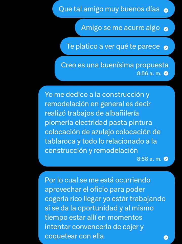 el vergarica tweet media