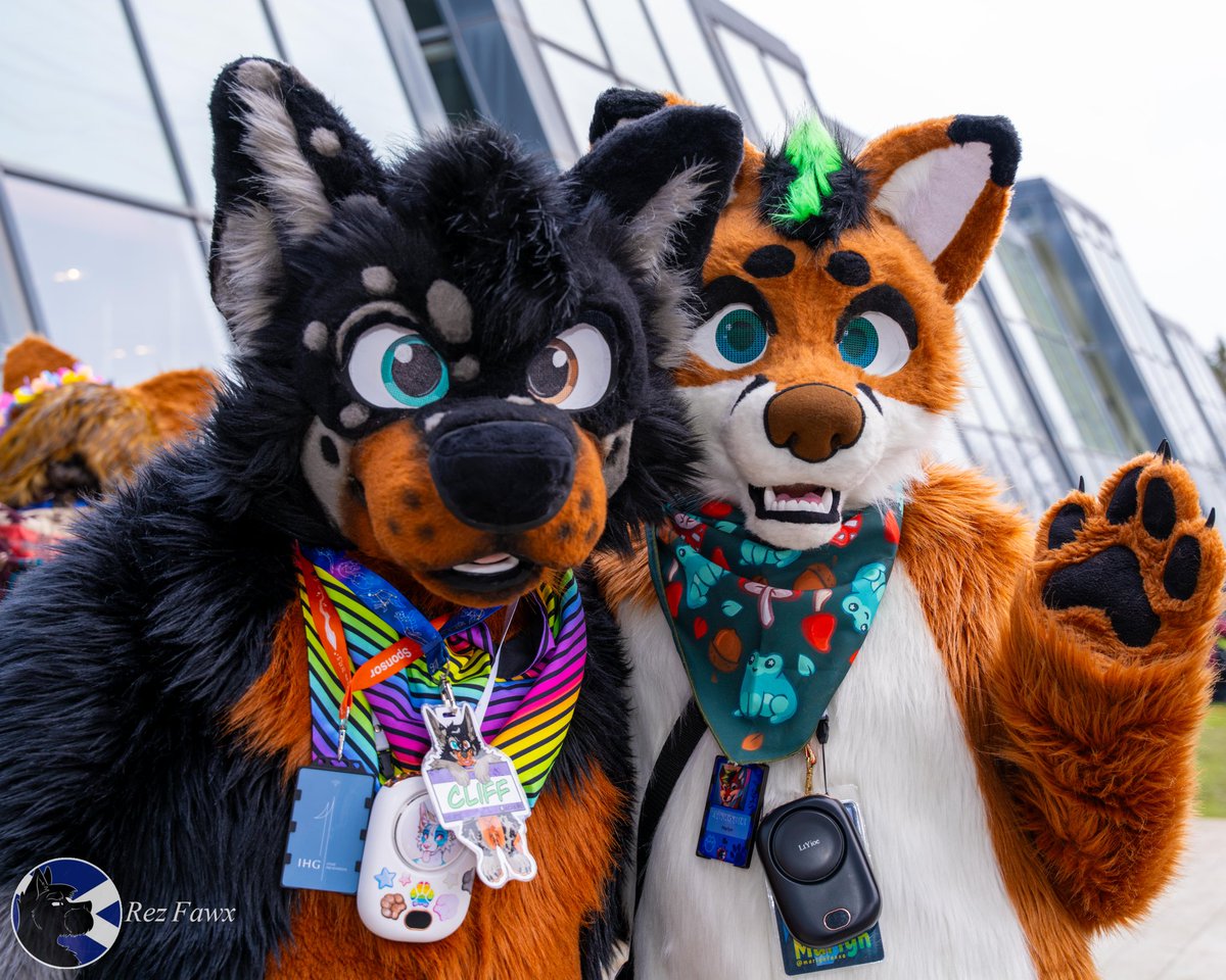 Cliff 💙🧡 🔜 Scotiacon tweet media