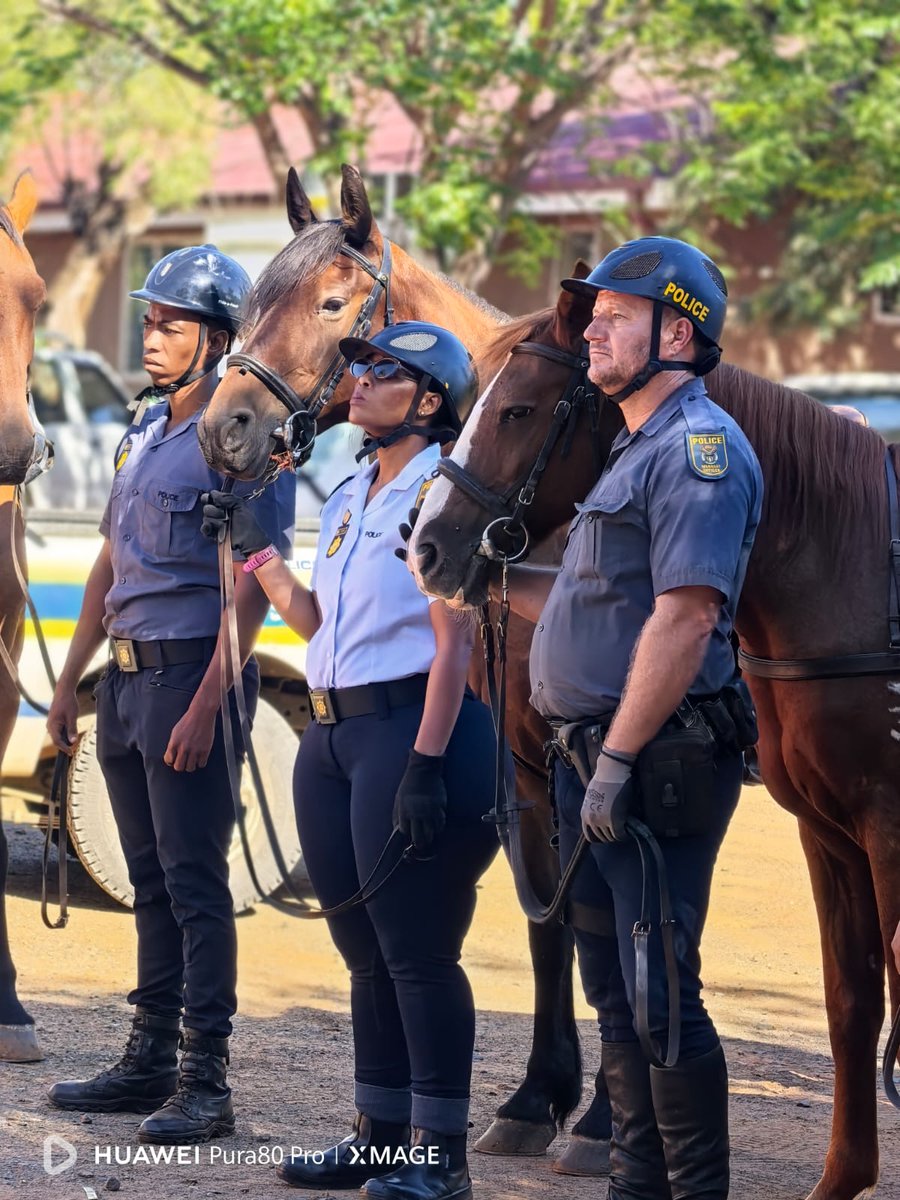 SAPoliceService's tweet photo. #sapsNC #SAPS Northern Cape Provincial Emergency Services (PES) comprising of Kimberley #K9Unit, #MountedUnit and Diving Units, conducted a self initiated crime crackdown as part of the ongoing #OperationShanela II actions in Kimberley on Wednesday, 11/03. #PoliceVisibility ME
https://t.co/6SGhSL0PNZ