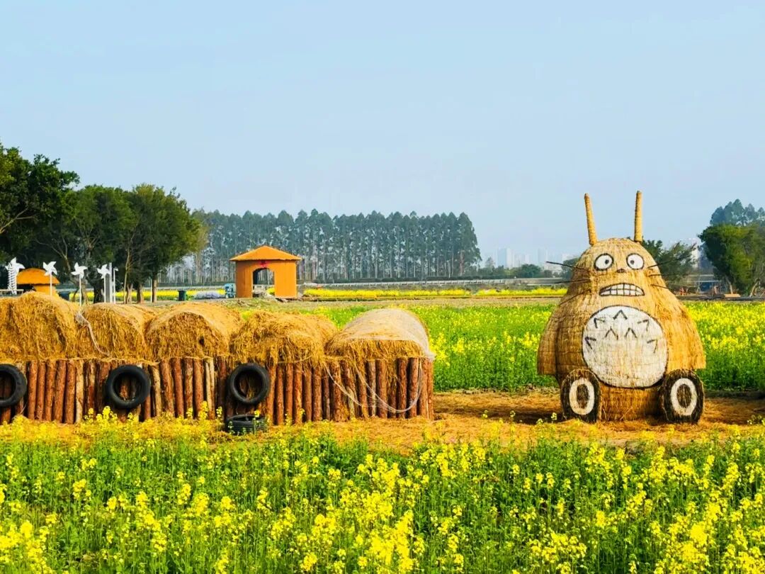 ExplorePingyang's tweet photo. ✨Spring has arrived in #Wenzhou's #Pingyang county! Shanglinyang village's canola fields are in full bloom, turning the landscape into a golden sea as visitors flock to photograph the stunning spring scenery. #BeautifulPingyang https://t.co/XGdA9A6781