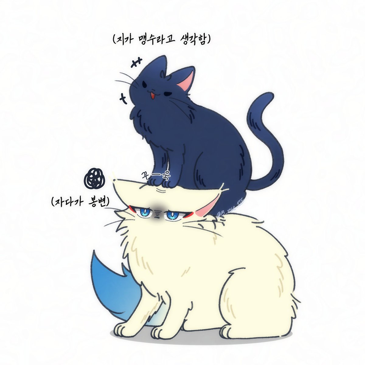 𝐌𝐲𝐚🌹 tweet media