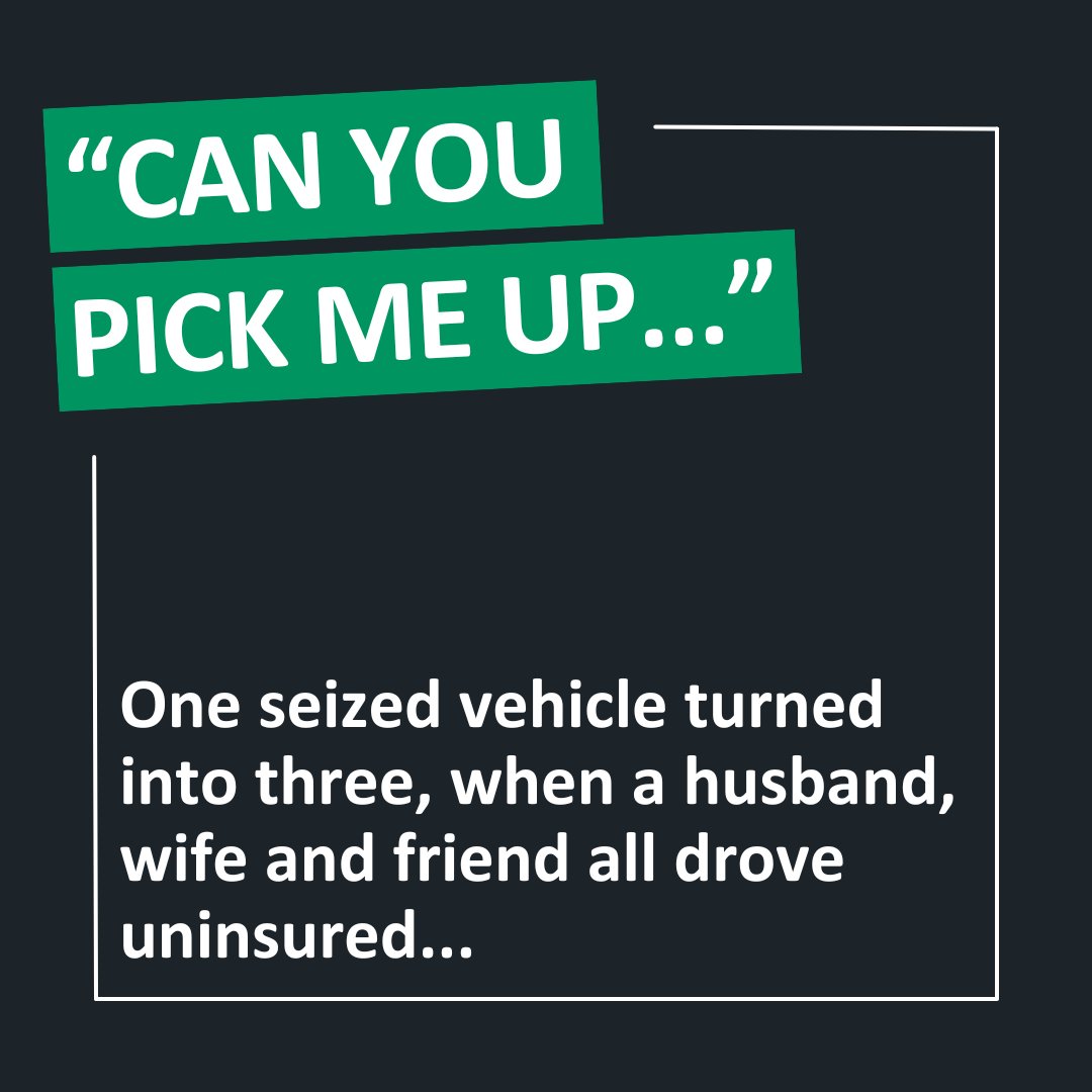 Drive Insured tweet media