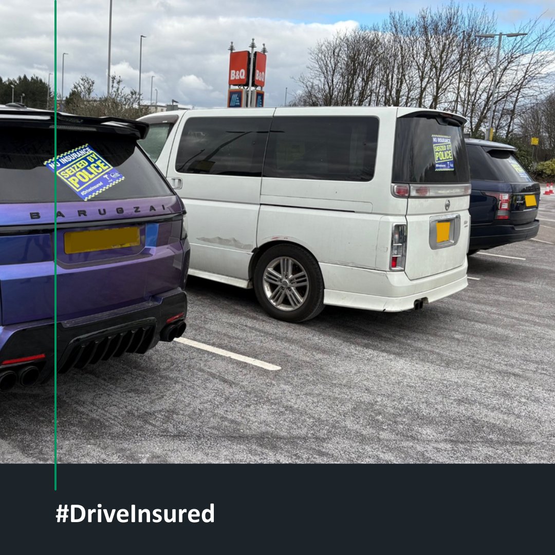 Drive Insured tweet media