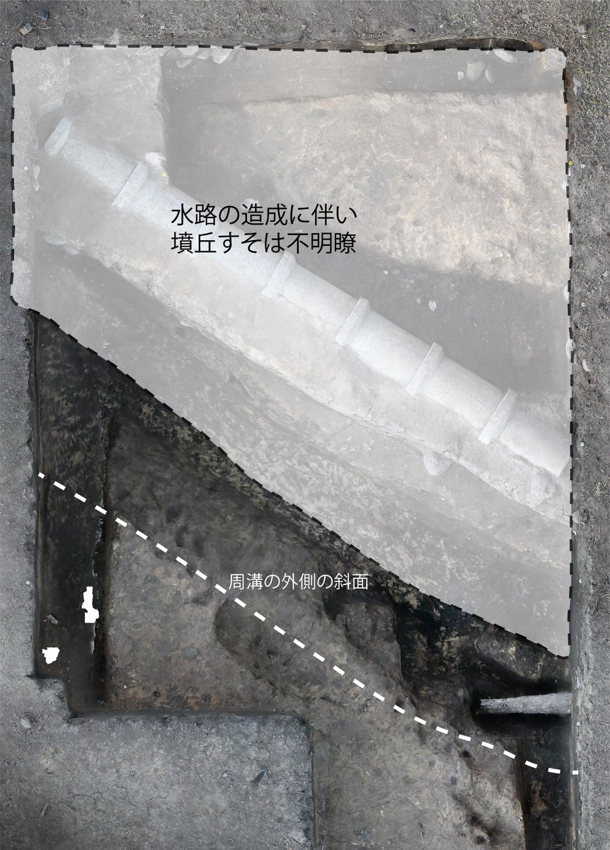 【侍塚古墳発掘調査でわかったこと⑥】
前方部 南西側の調査成果を報告します。
墳丘のすそは水路工事の掘り込みによって確認できませんでしたが、周溝の幅が他の調査区よりも極端に狭いものでした。なぜでしょう？
古墳に渡るため？何かの都合で幅を広げられなかった？　みなさんはどう考えますか？