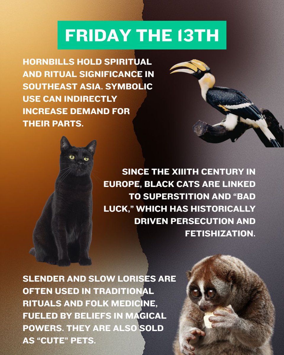 OURANOS Project tweet media