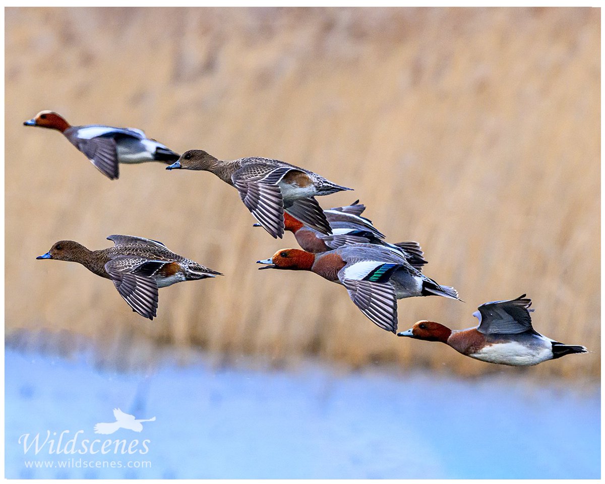 John Gardner tweet media