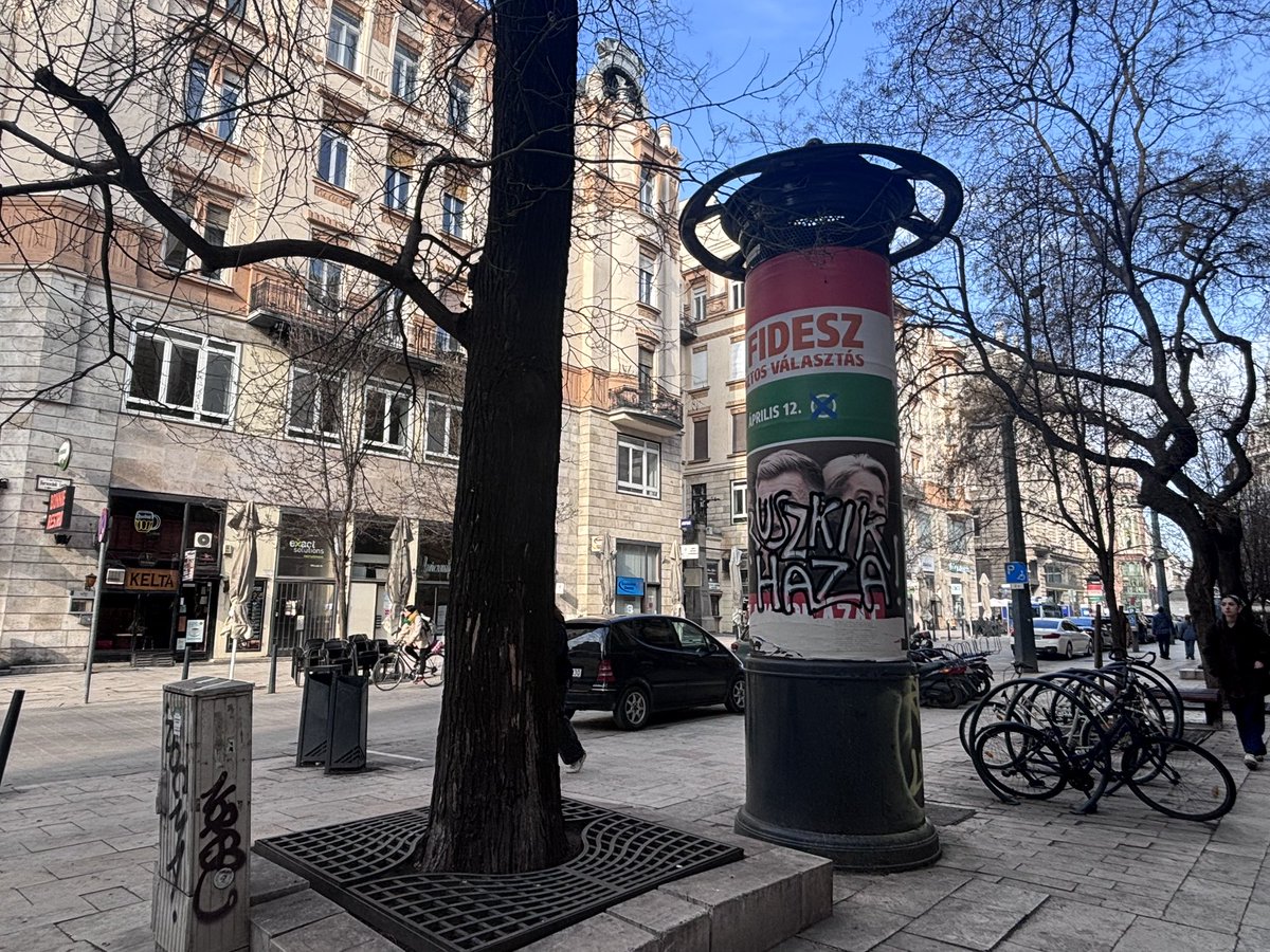 Viktória Serdült tweet media