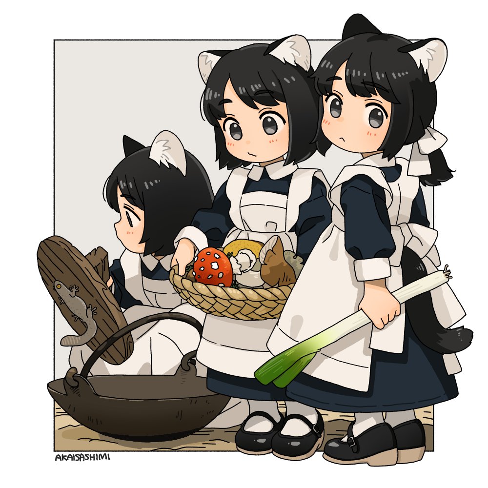 赤井さしみ tweet media