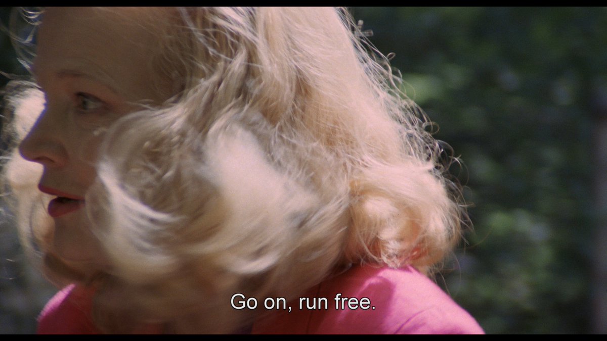 cinemafrances's tweet image. bom dia #vamosvencer