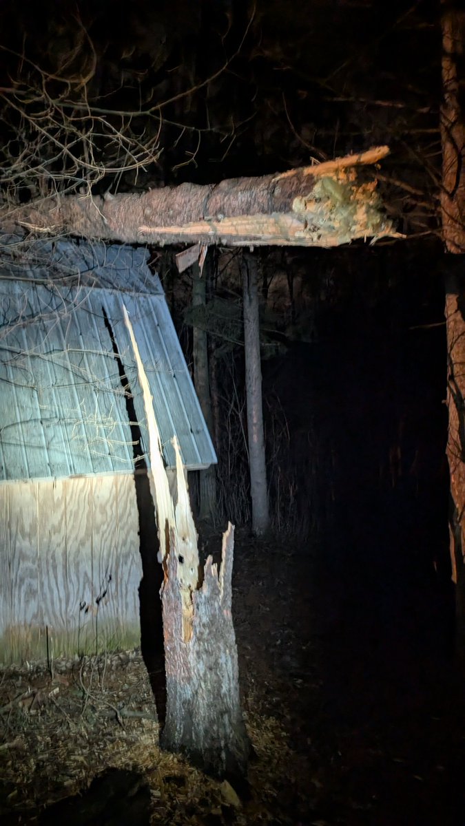 Bill Doms tweet media