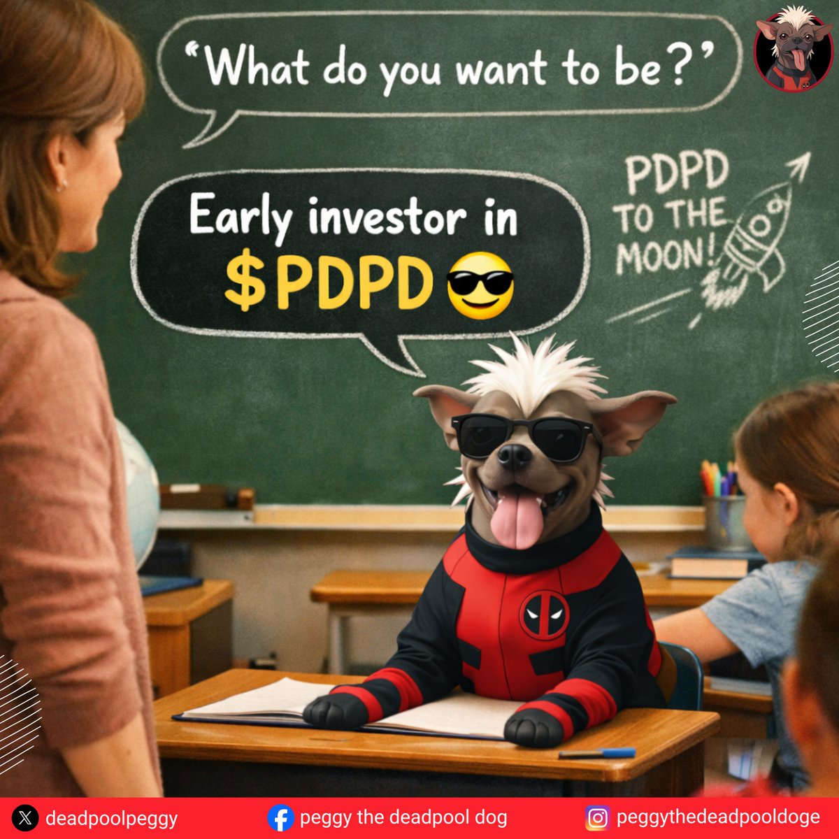 Peggy The deadpool Dog tweet media