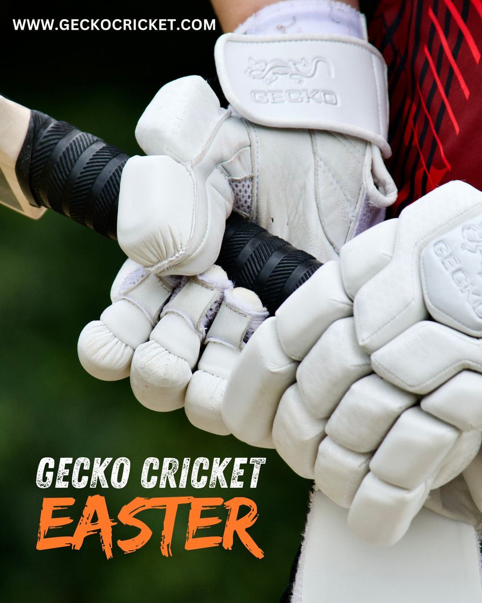 GECKO Cricket tweet media