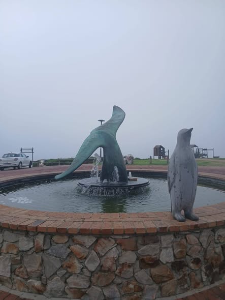 Hermanus Tourism tweet media