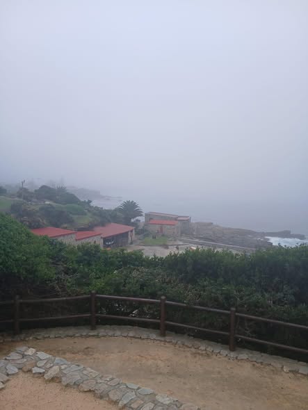 Hermanus Tourism tweet media