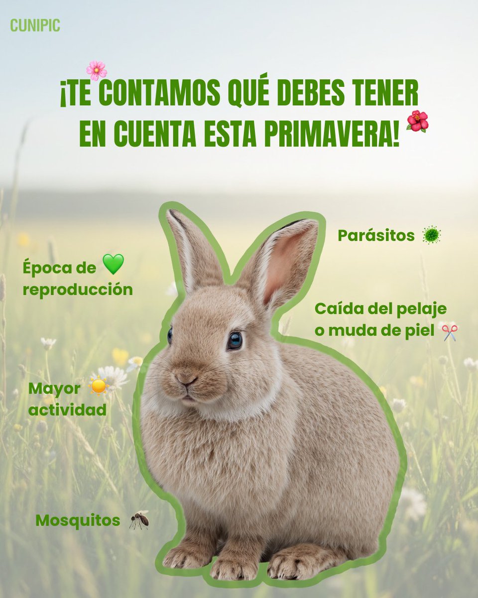 CUNIPIC l Alimentación natural para tu mascota tweet media