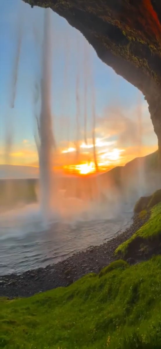 QA Rev 019 tweet media