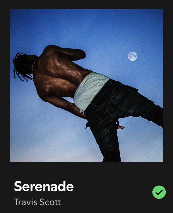 Fry🦉🧊 tweet media