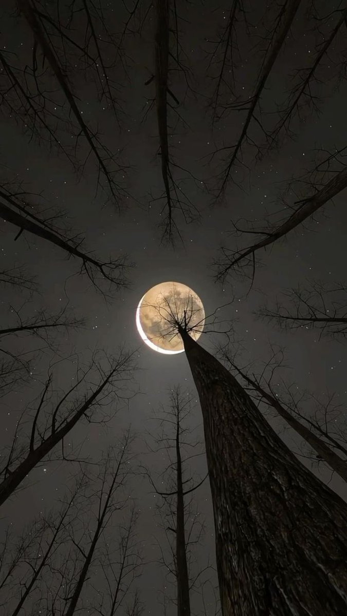 Nature Beauty tweet media