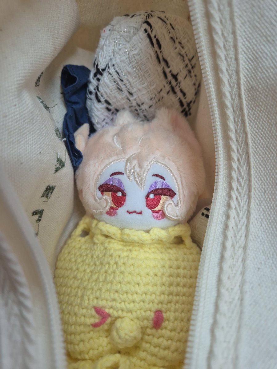 호놀🍎 honol tweet media