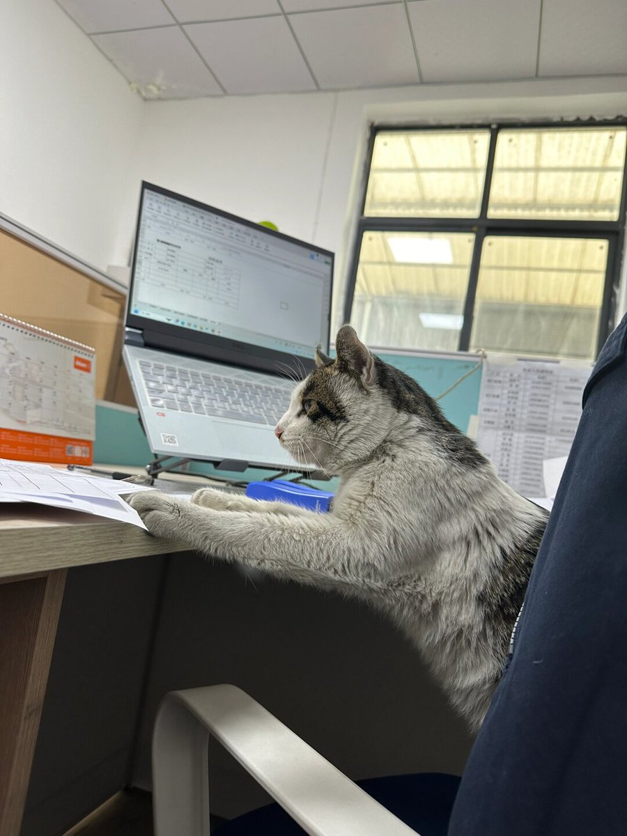 Rohitukarde1's tweet image. When you meant to print "team report" but the printer spat out a 10-page cat meme compilation… Now the whole office’s pretending to work but secretly screenshotting.  #WorkFail #PrinterGoneWild
