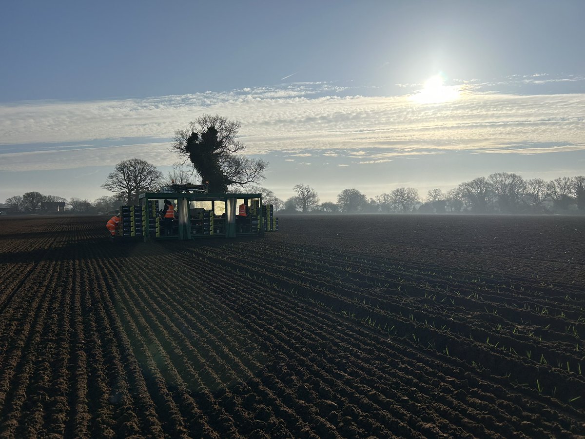 Home Farm (Nacton) tweet media