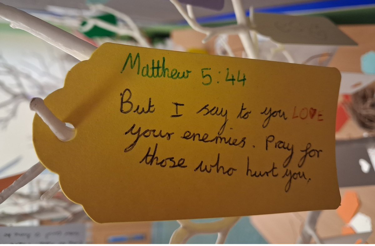 The Blue Coat School tweet media