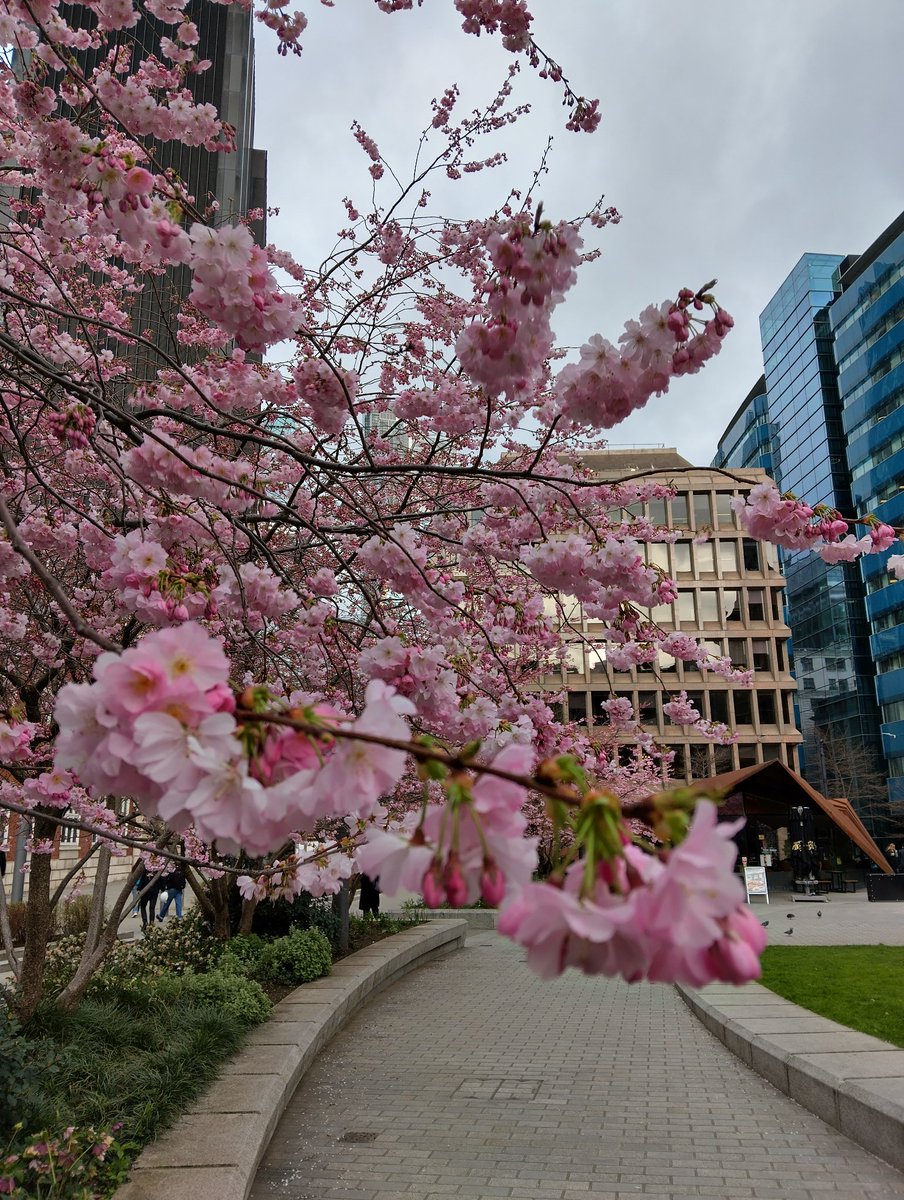 Food For Aldgate tweet media