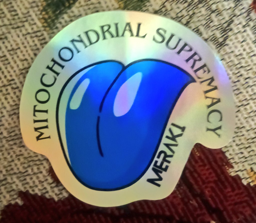 Janedoe17 tweet media