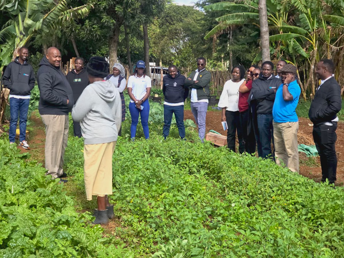 Hand in Hand Eastern Africa tweet media