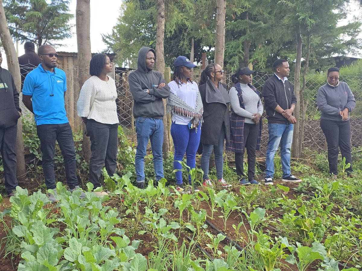 Hand in Hand Eastern Africa tweet media