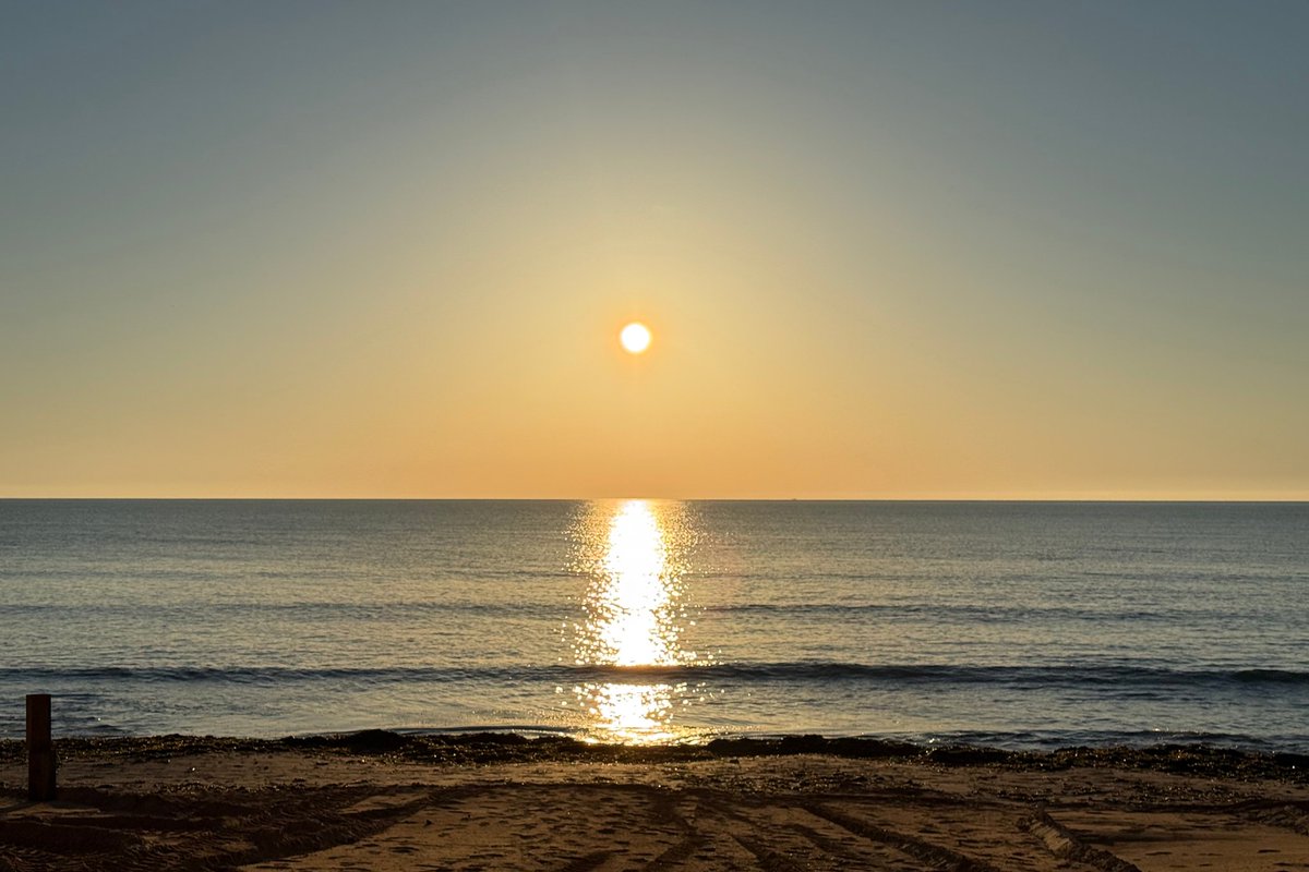 ProyectoMastral's tweet photo. ¡Buenos días! Hoy hemos amanecido con el cielo despejado en #Torrevieja. Este viernes será un día muy soleado y esperamos que la temperatura llegue a los 20 °C en las horas centrales del día. La fotografía desde la playa de La Mata nos la envía Inma Azpiazu. https://t.co/hEtygRMJIx