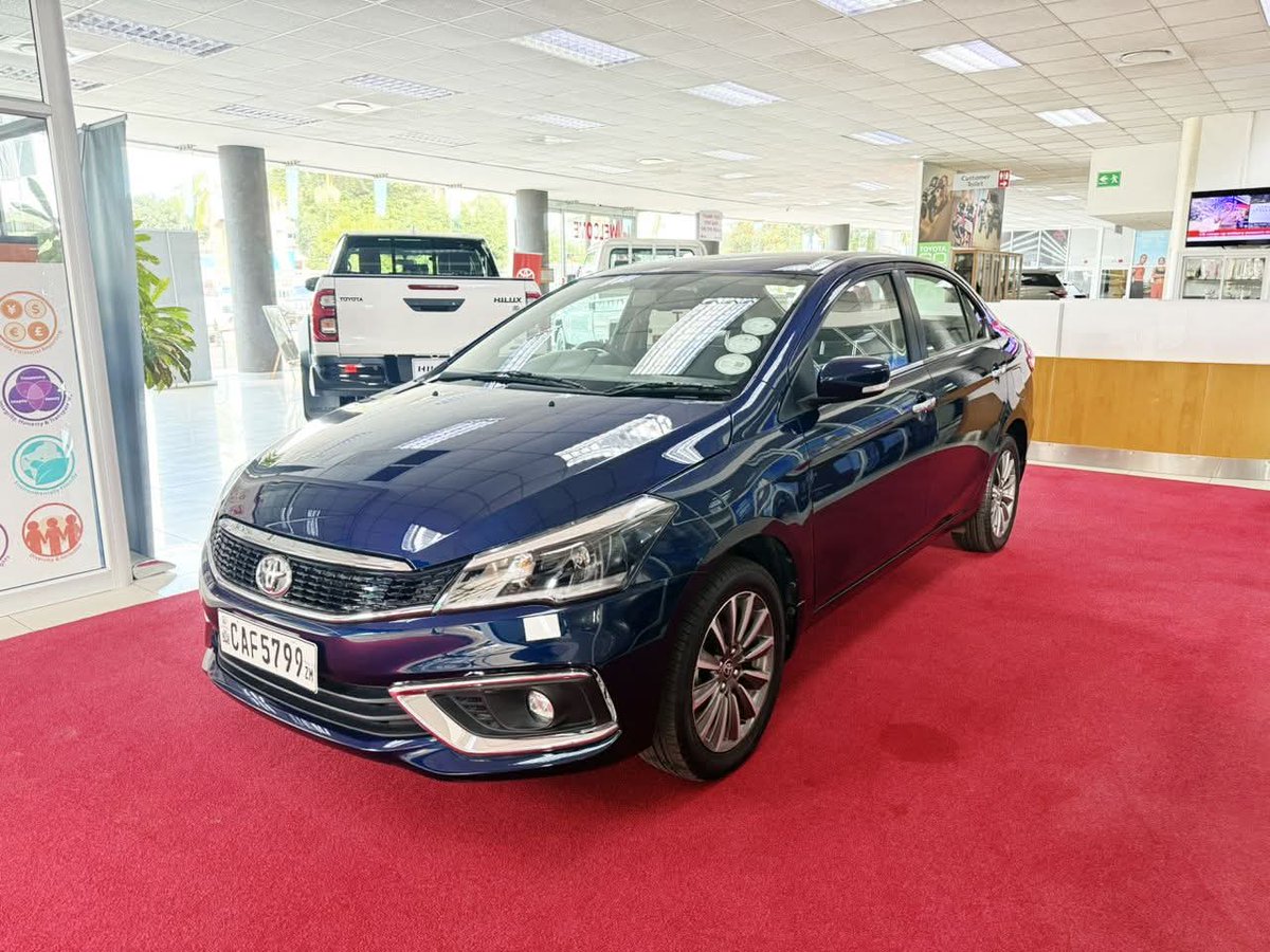 plant a tree 🌱 tweet media