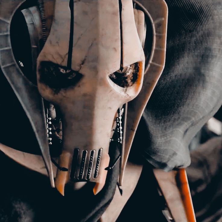 Soren 𓅓 🪶 Grievous’ Husband tweet media