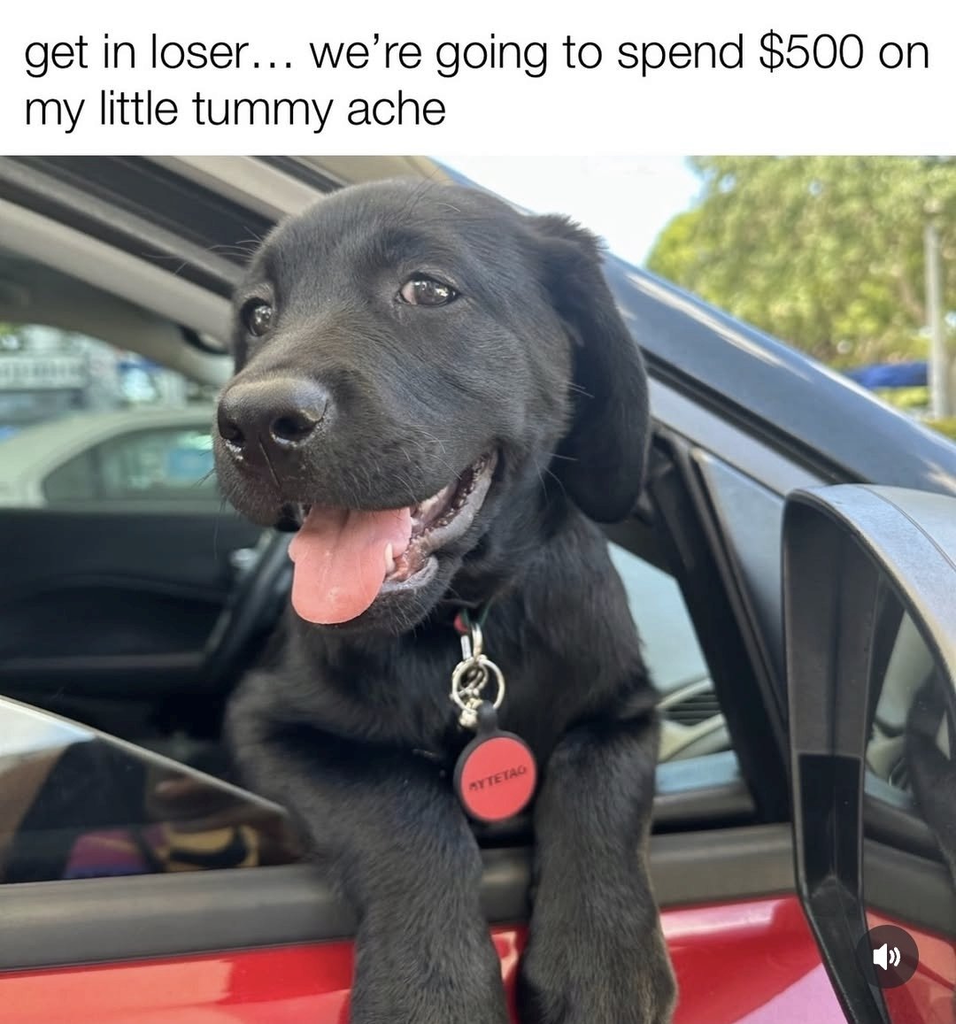 😂😂