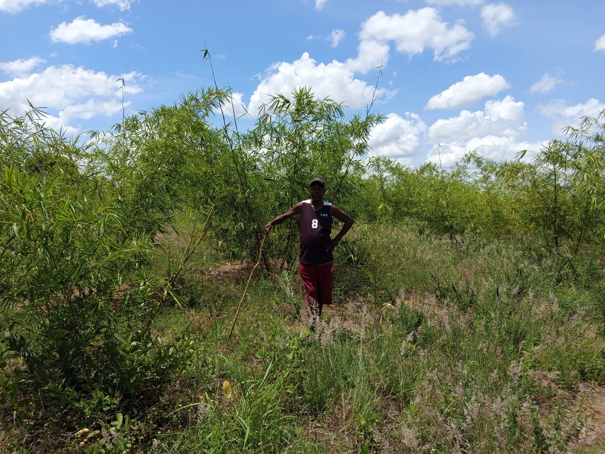 Ofwono Opondo P'Odel tweet media