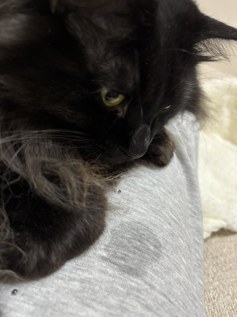 ジャックとダニエル tweet media