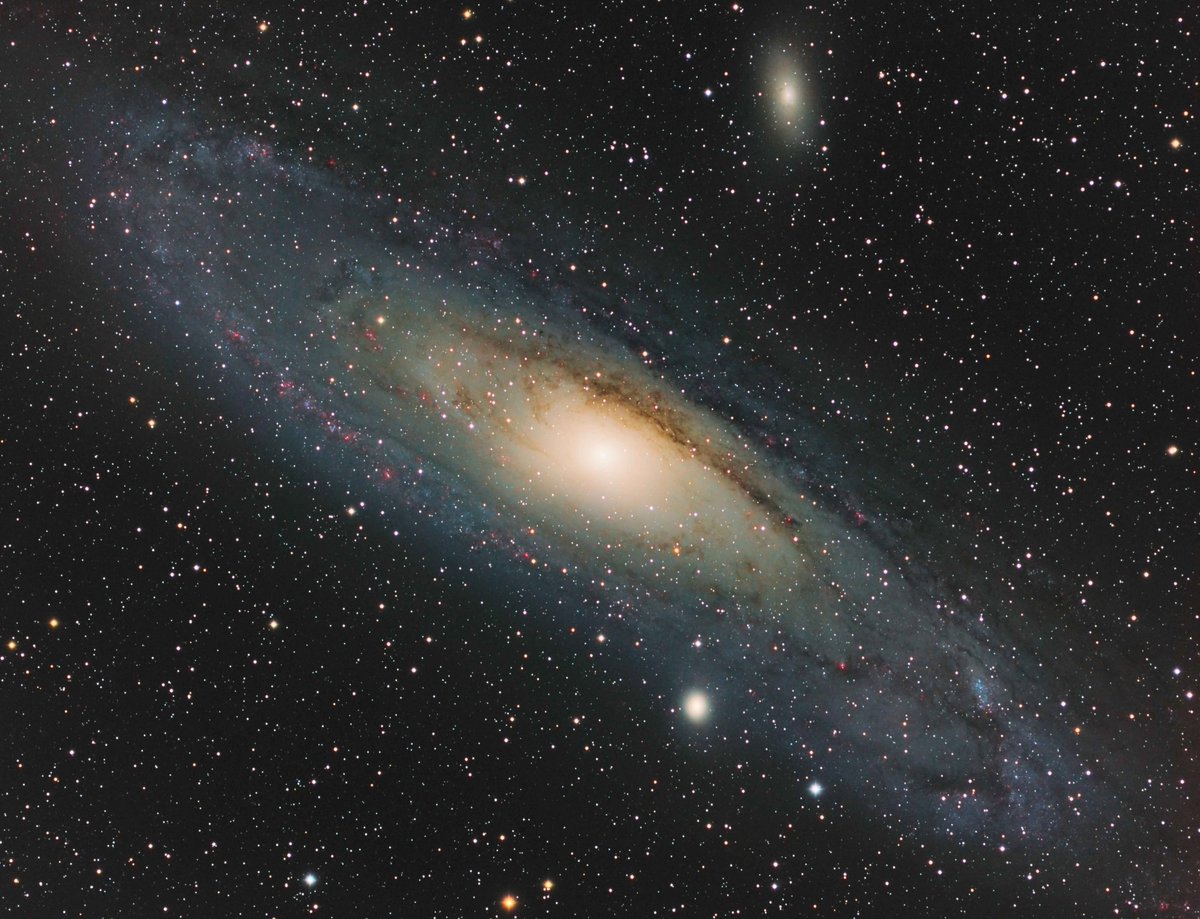 CUM Nice tweet media