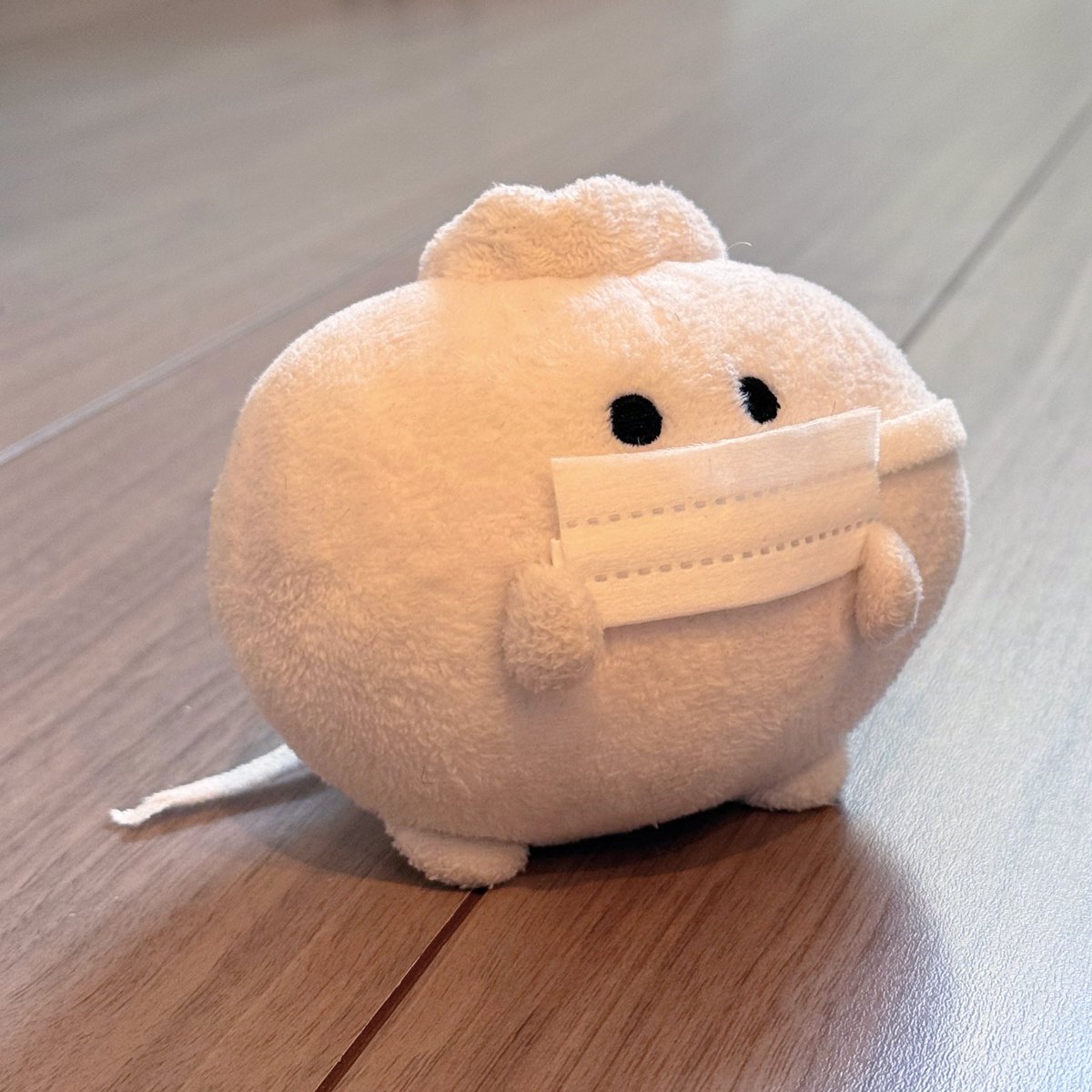 鳴海知秋｜poporpop tweet media