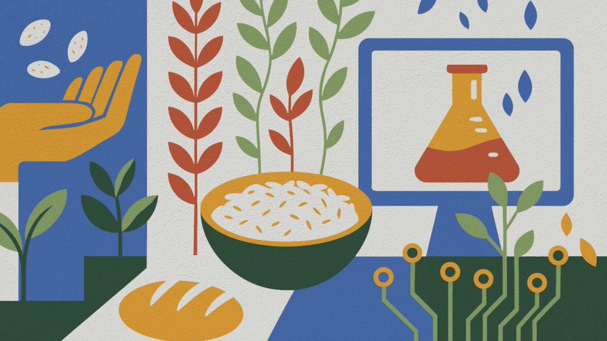 The Crop Trust tweet media