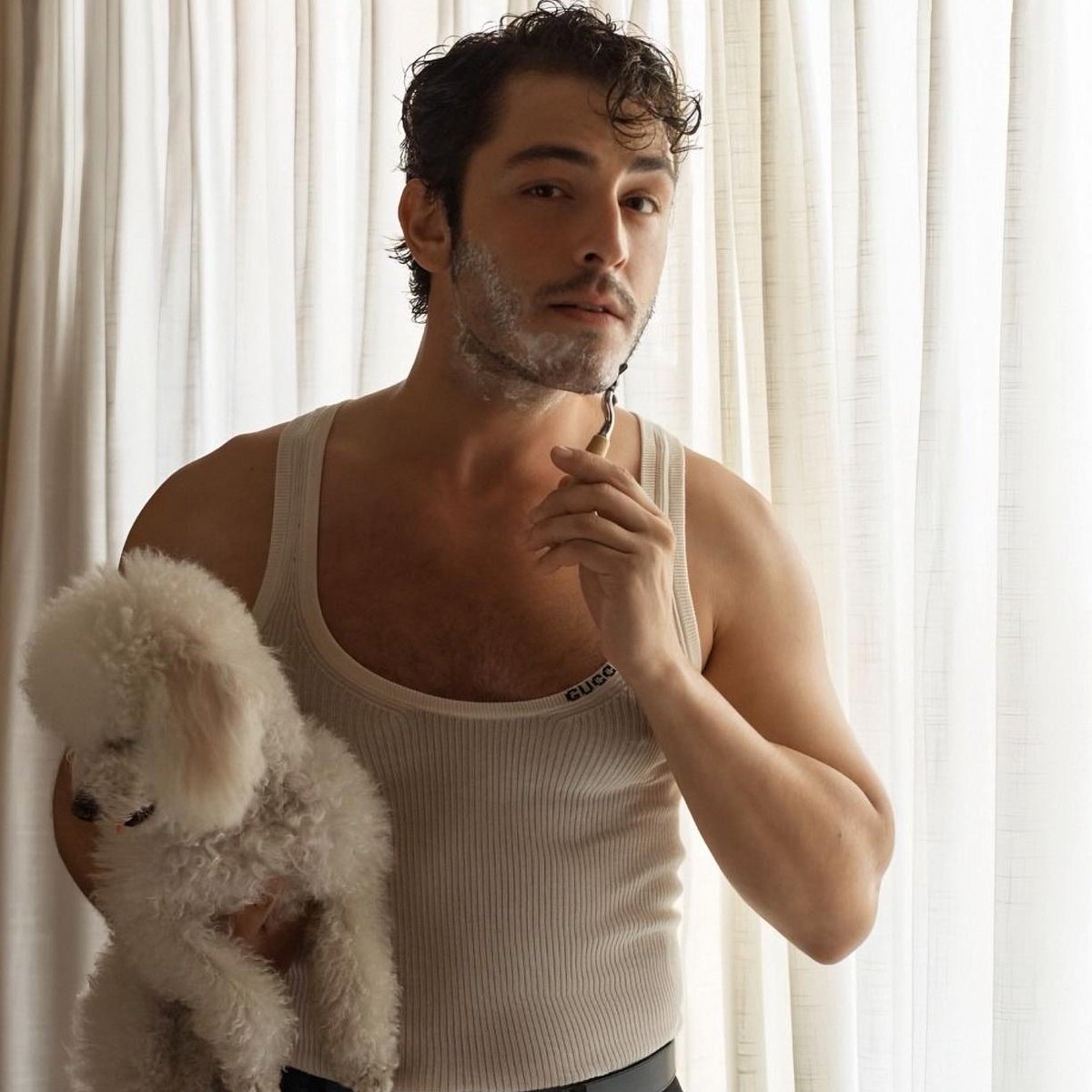 Populicc tweet media