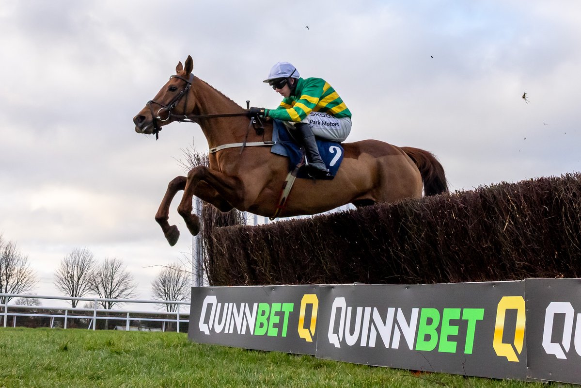 Naas Racecourse tweet media