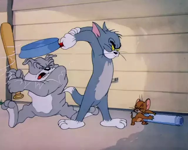 Степан Срака, главний інженер tweet media