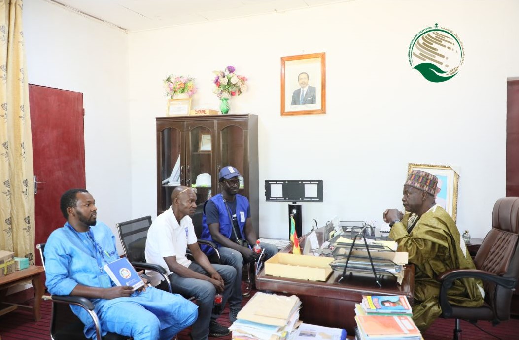 PNUD Cameroun tweet media