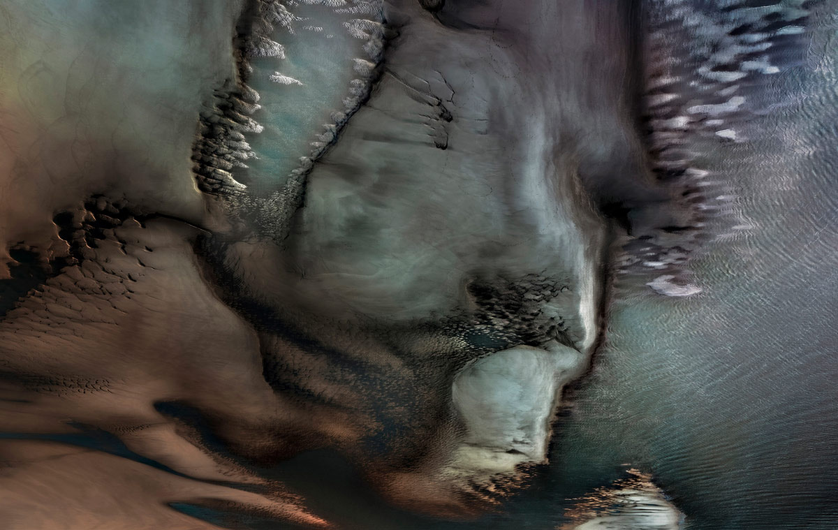 The Society of Photographers 📷 tweet media