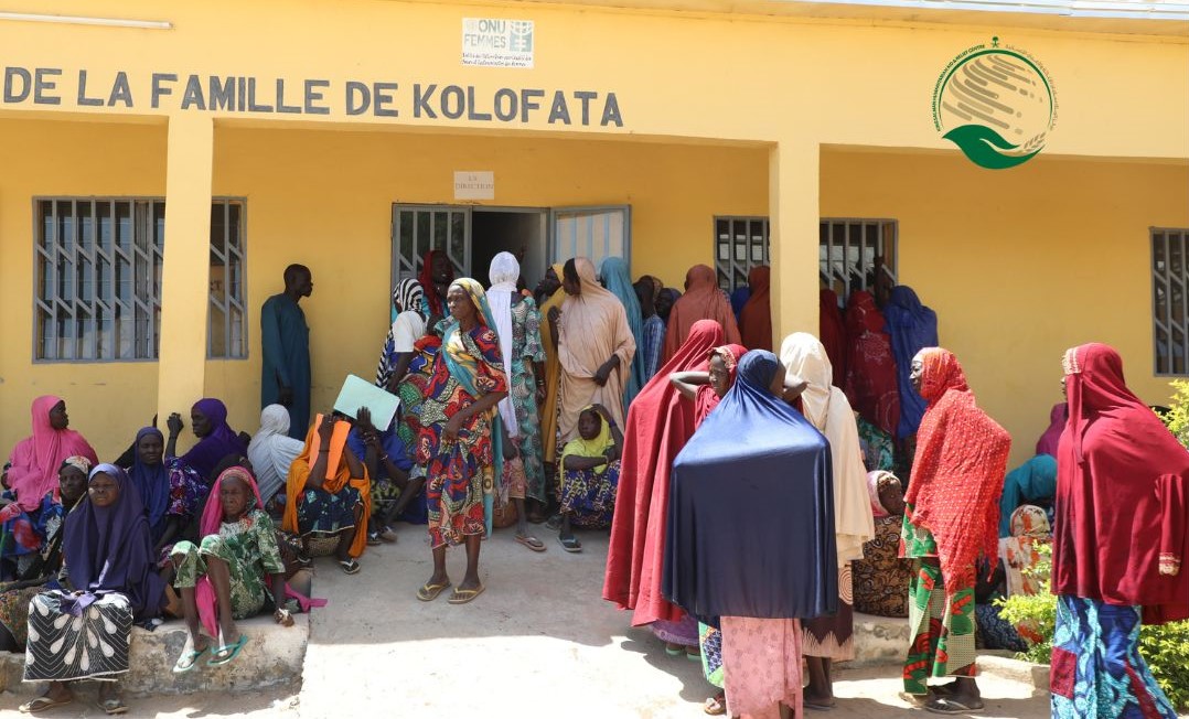 PNUD Cameroun tweet media