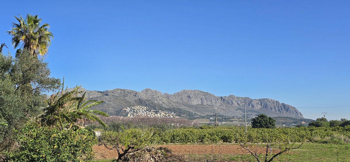 Elio Javier Alsina Rojas tweet media