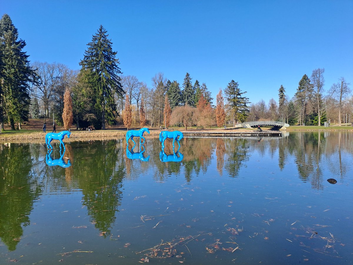 Martina Hepnerová tweet media