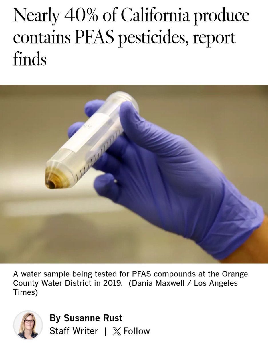 Amazon Piss Jugs tweet media